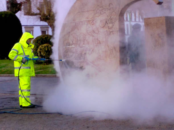 Best Roof Pressure Washing  in Harbor Beach, MI