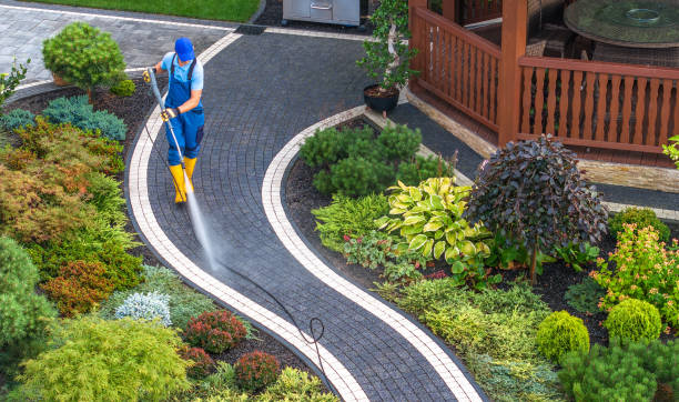Best House Pressure Washing  in Harbor Beach, MI
